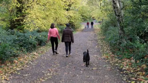 Dog walkers walk through trees with autumn leaves scattered across the path.