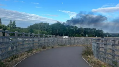 A tarmac footpath with wooden fences and fields on both sides. In the background - above a row of green trees - is  thick black smoke billowing up into the light blue sky.